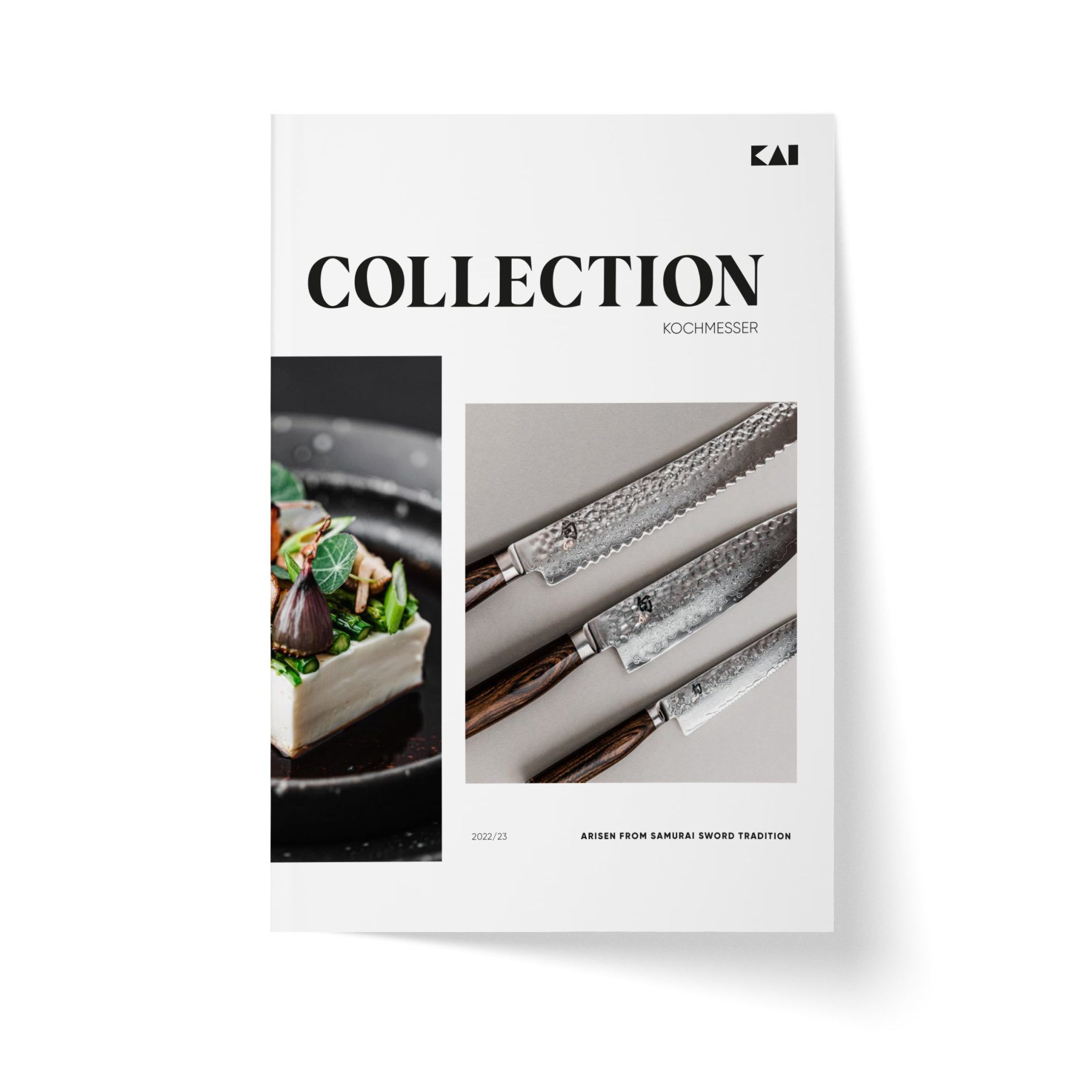 Downloads KAI Europe