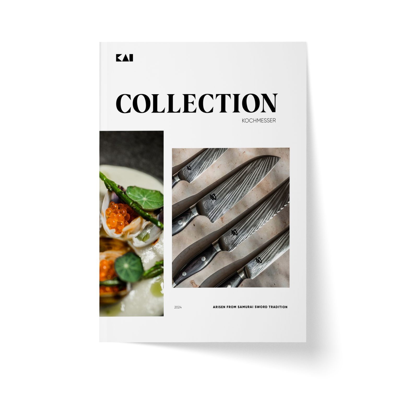 Downloads KAI EUROPE