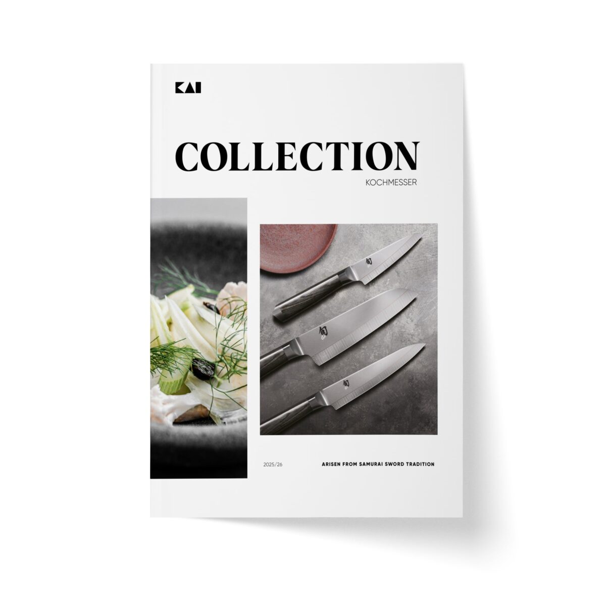 Downloads KAI EUROPE